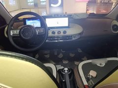 Wuling Binguo 203km Comfort Edition - ფოტო 5
