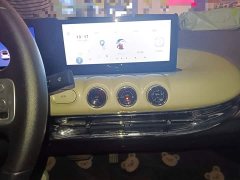 Wuling Binguo 203km Comfort Edition - ფოტო 9