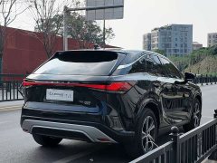 Lexus RX 300 AWD Premium Edition - ფოტო 15