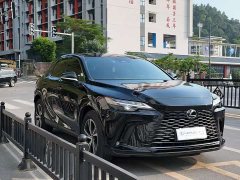 Lexus RX 300 AWD Premium Edition - ფოტო 3