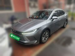 BYD Destroyer 05 Glory Edition DM-i 55KM Luxury - ფოტო 1