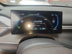 BYD Destroyer 05 Glory Edition DM-i 55KM Luxury - ფოტო 12