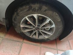 BYD Destroyer 05 Glory Edition DM-i 55KM Luxury - ფოტო 8