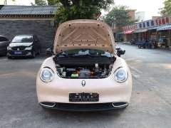 ORA Good Cat Morandi Edition 400km Standard Range Deluxe Type LFP Battery - ფოტო 13
