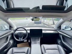Tesla Model 3 2022 Performance All-Wheel Drive - ფოტო 6