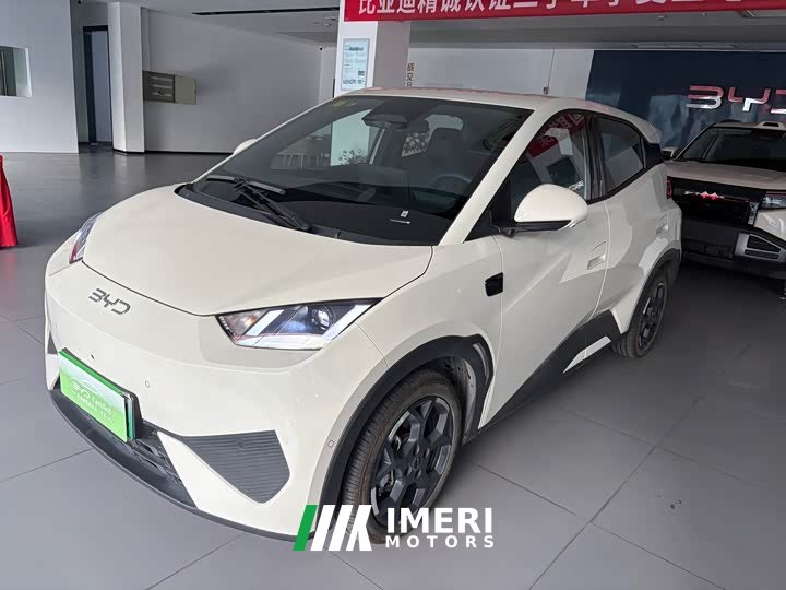 BYD Seagull 2025 Smart Driving Edition 305km Freedom Edition - ავტომობილი ჩინეთიდან
