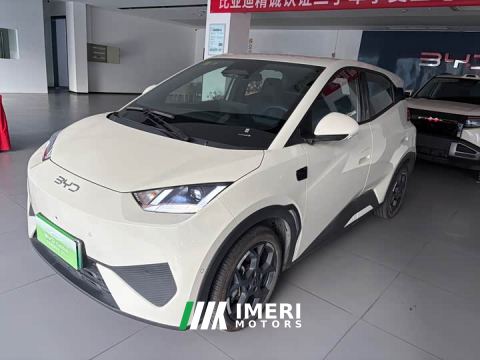2026 BYD Seagull Smart Driving Edition 305km Freedom Edition - car from China