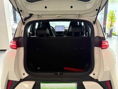 BYD Seagull 2025 Smart Driving Edition 305km Freedom Edition - ფოტო 10