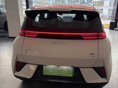 BYD Seagull 2025 Smart Driving Edition 305km Freedom Edition - ფოტო 11