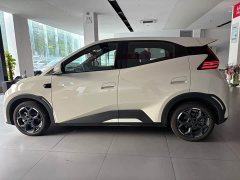 BYD Seagull 2025 Smart Driving Edition 305km Freedom Edition - ფოტო 12