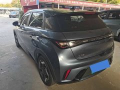 BYD Dolphin Glory Edition 420km Freedom Version - ფოტო 9