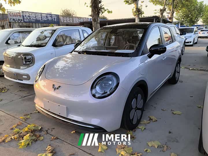 Wuling Bingguo Pro 330km Deluxe Edition