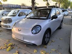Wuling Bingguo Pro 330km Deluxe Edition - ფოტო 1