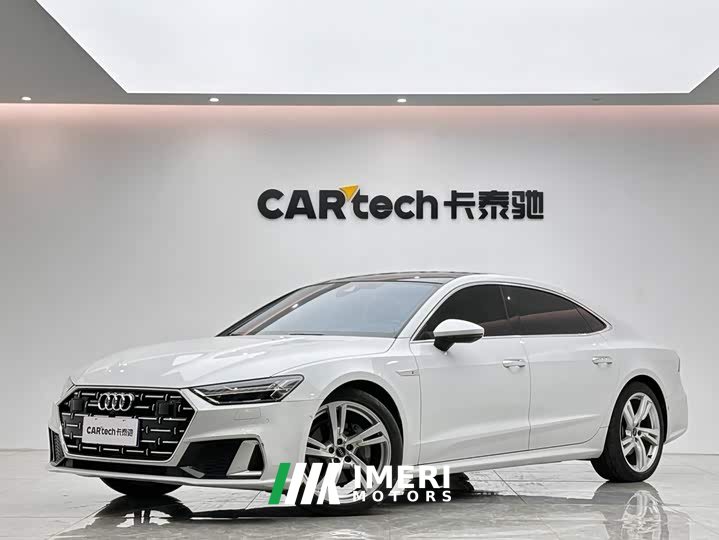 Audi A7L 45 TFSI quattro S-line Paladin