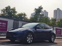 Tesla Model Y Rear-Wheel Drive - ფოტო 1