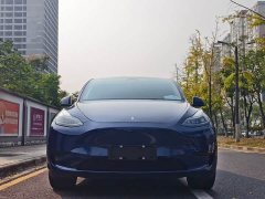 Tesla Model Y Rear-Wheel Drive - ფოტო 2