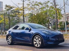 Tesla Model Y Rear-Wheel Drive - ფოტო 3