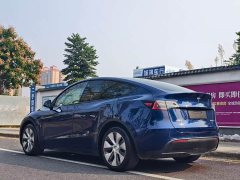 Tesla Model Y Rear-Wheel Drive - ფოტო 7