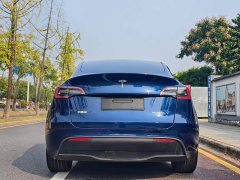 Tesla Model Y Rear-Wheel Drive - ფოტო 8