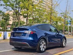 Tesla Model Y Rear-Wheel Drive - ფოტო 9
