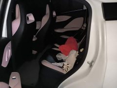 BYD Seagull 2025 305km Freedom Edition - ფოტო 11