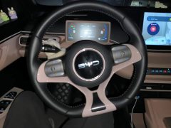 BYD Seagull 2025 305km Freedom Edition - ფოტო 15