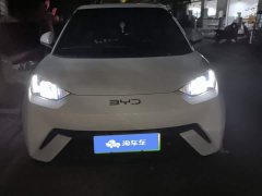 BYD Seagull 2025 305km Freedom Edition - ფოტო 2