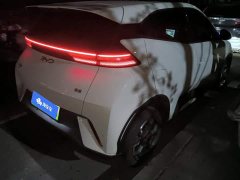 BYD Seagull 2025 305km Freedom Edition - ფოტო 3