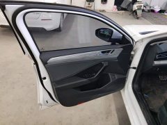 Volkswagen Sagitar 300TSI DSG Excellence Edition - ფოტო 7