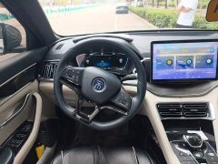 BYD Song Plus New Energy 2021 DM-i 110KM Flagship - ფოტო 6