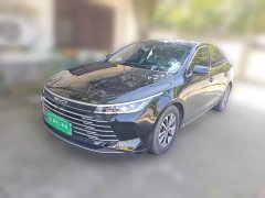 BYD Destroyer 05 Glory Edition DM-i 55KM Luxury - ფოტო 1