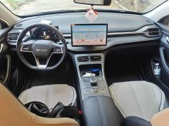 BYD Destroyer 05 Glory Edition DM-i 55KM Luxury - ფოტო 5