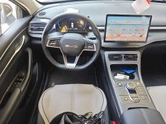 BYD Destroyer 05 Glory Edition DM-i 55KM Luxury - ფოტო 6