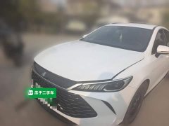 BYD Qin PLUS DM-i Smart Drive Edition 55KM Leading - ფოტო 1