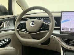 Denza BYD Denza D9 2022 DM-i 1040 Premium - ფოტო 16