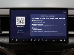 Denza BYD Denza D9 2024 DM-i 970 Luxury - ფოტო 16