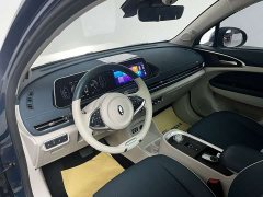 ORA Good Cat Morandi Edition 400km Standard Range Luxury Trim LFP - ფოტო 11