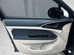 ORA Good Cat Morandi Edition 400km Standard Range Luxury Trim LFP - ფოტო 14