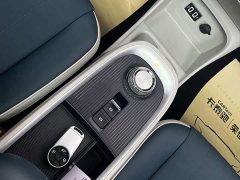 ORA Good Cat Morandi Edition 400km Standard Range Luxury Trim LFP - ფოტო 16