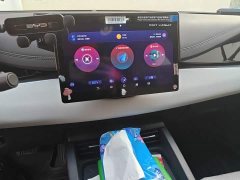 BYD Seal 06 DM-i 80KM Luxury - ფოტო 9