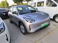 Geely Star Wish 310km Aspiration Edition - ფოტო 3