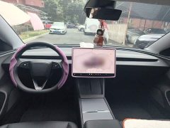 Tesla Model 3 2023 Rear-Wheel Drive - ფოტო 10