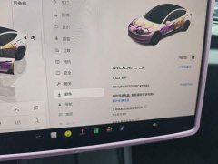 Tesla Model 3 2023 Rear-Wheel Drive - ფოტო 13