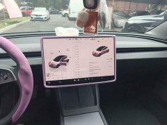 Tesla Model 3 2023 Rear-Wheel Drive - ფოტო 14