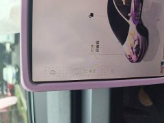 Tesla Model 3 2023 Rear-Wheel Drive - ფოტო 15