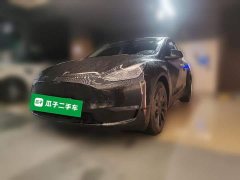 Tesla Model Y Long Range All-Wheel Drive - ფოტო 1