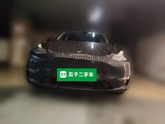 Tesla Model Y Long Range All-Wheel Drive - ფოტო 3