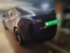 Tesla Model Y Long Range All-Wheel Drive - ფოტო 5