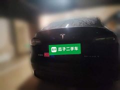 Tesla Model Y Long Range All-Wheel Drive - ფოტო 6