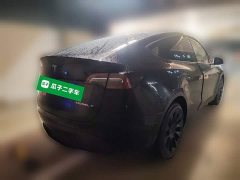 Tesla Model Y Long Range All-Wheel Drive - ფოტო 7